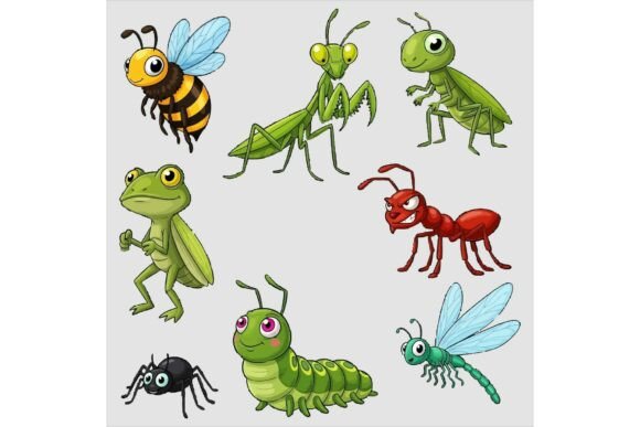Cute Cartoon Insects Illustration Bundle Review
